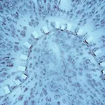 Invisible Forest & Adults Only Rovaniemi