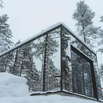 Invisible Forest & Adults Only