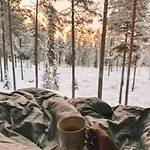 Invisible Forest & Adults Only Hotel