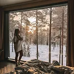 Invisible Forest & Adults Only Hotel