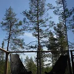 Invisible Forest & Adults Only Hotel
