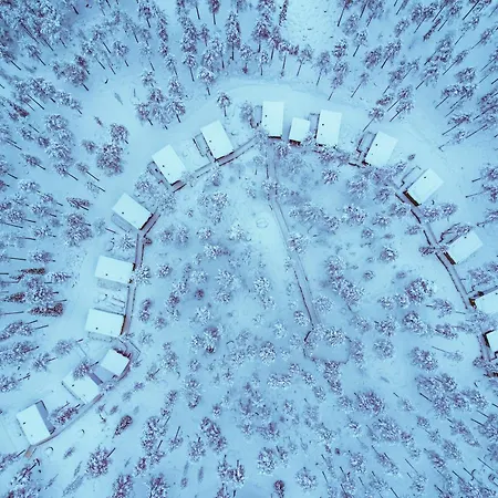 Invisible Forest & Adults Only Rovaniemi