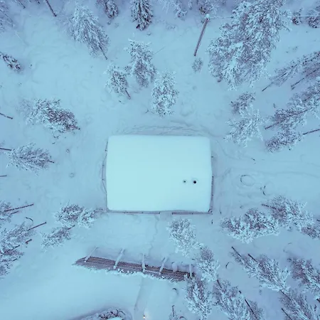 Invisible Forest & Adults Only Rovaniemi