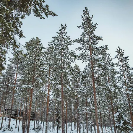 Invisible Forest & Adults Only Szálloda 5*