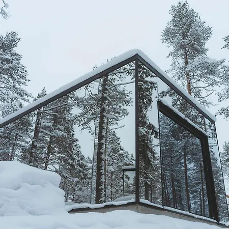 Invisible Forest & Adults Only