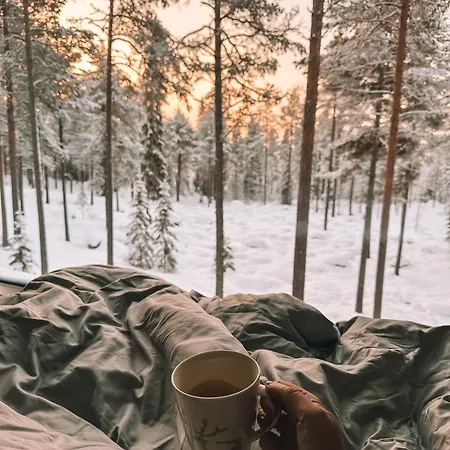 Invisible Forest & Adults Only Hotel