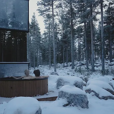 Invisible Forest & Adults Only