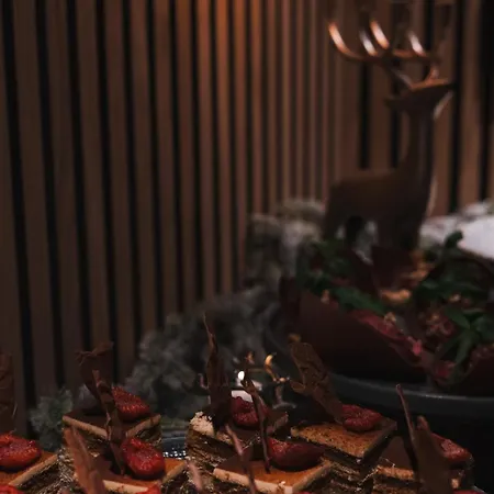 Invisible Forest & Adults Only 5* Rovaniemi