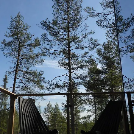 Invisible Forest & Adults Only Hotel