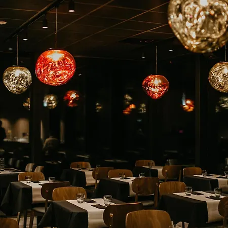 Invisible Forest & Adults Only