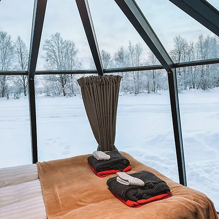 Invisible Forest & Adults Only 5*