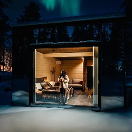 Invisible Forest & Adults Only 5*