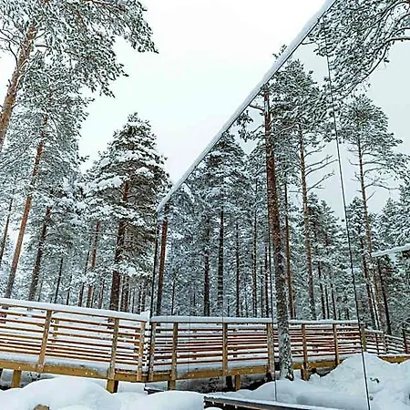 Invisible Forest & (adults Only) 5*