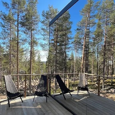 Invisible Forest & (adults Only)