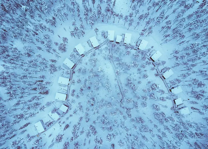 Invisible Forest & Adults Only Rovaniemi