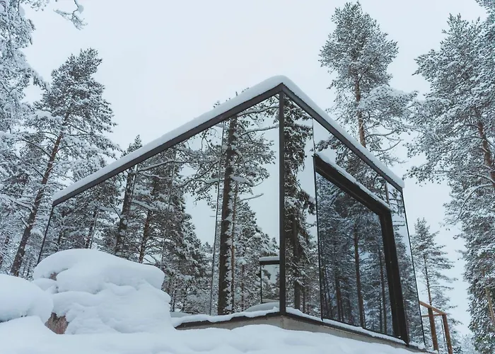 Invisible Forest & Adults Only