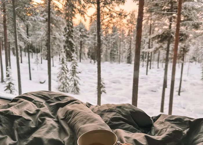 Invisible Forest & Adults Only Hotel