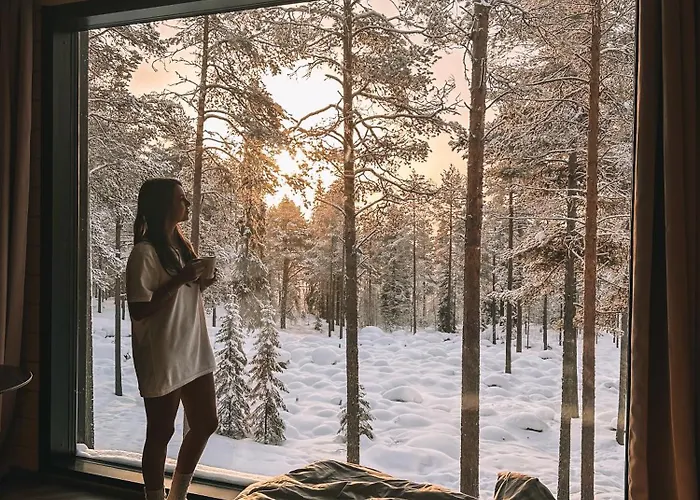 Invisible Forest & Adults Only Hotel