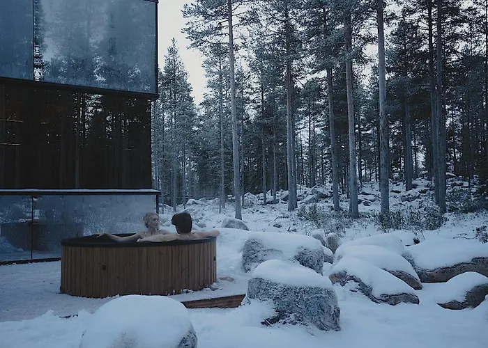 Invisible Forest & Adults Only