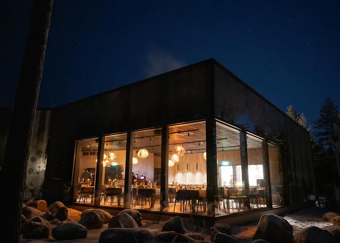 Invisible Forest & Adults Only Rovaniemi