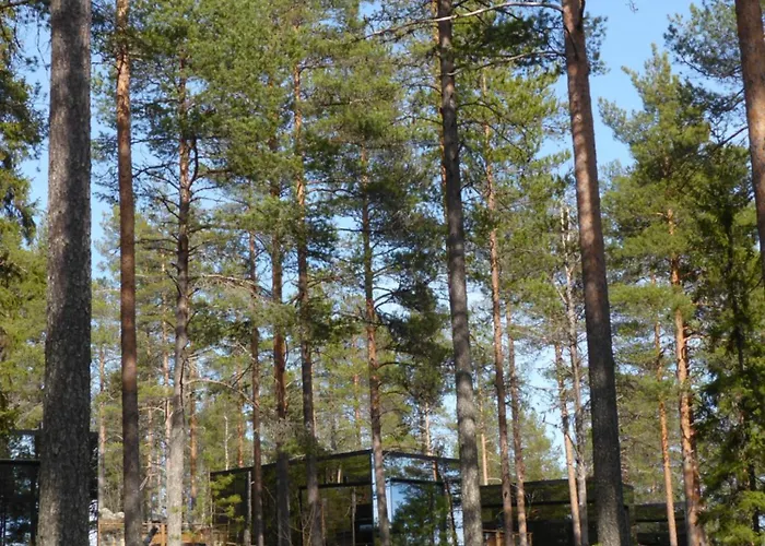 Invisible Forest & Adults Only Hotel 5*