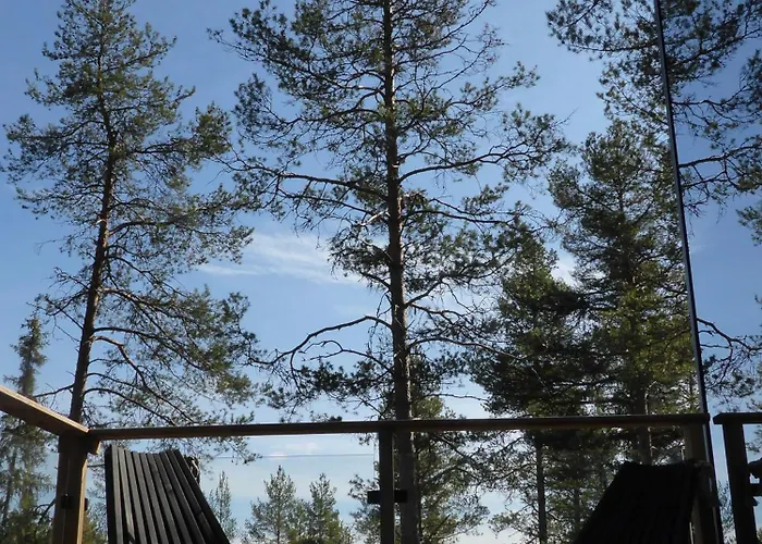 Invisible Forest & Adults Only Hotel