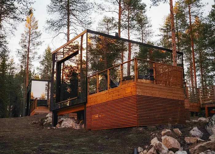 Invisible Forest & Adults Only Hotel