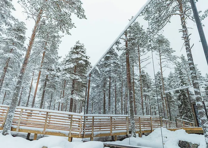 Invisible Forest & Adults Only Hotel Rovaniemi