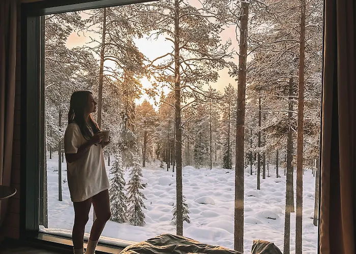 Invisible Forest & Adults Only Rovaniemi