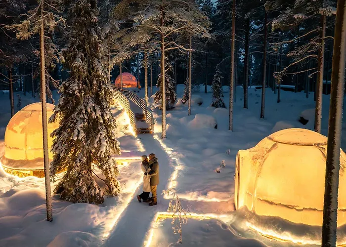 Hotel Invisible Forest & Adults Only